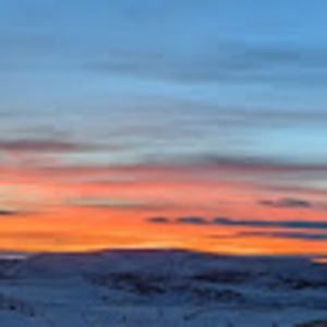 Meet your Posher, Benerito